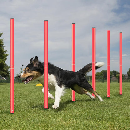 Agility Training Set - Includes Poles (Set of 6) Drills, Agility Ladder, 10 Cones & Jump Rope for Speed and AgilityTraining